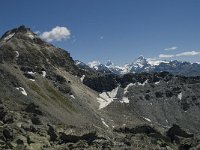 CH, Wallis, Anniviers, Ober Gabelhorn 1, Saxifraga-Willem van Kruijsbergen